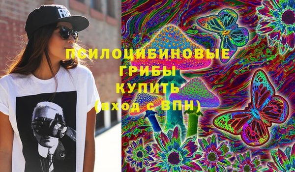 гидра Армянск