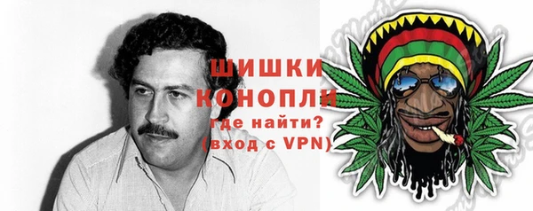 гидра Армянск