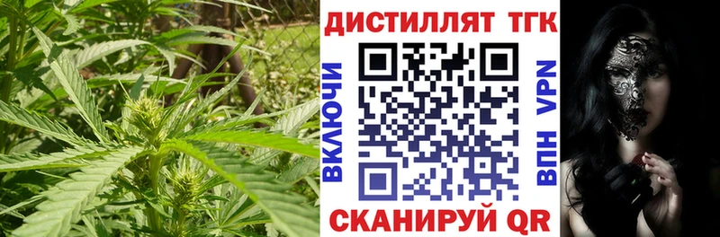 Дистиллят ТГК Wax  Купить закладки  Ядрин 